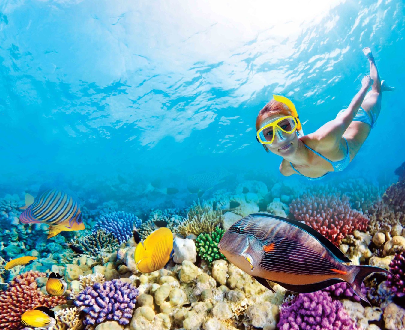 snorkelling playa del carmen